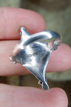 Load image into Gallery viewer, The Burghead Pictish Ring