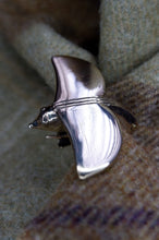Load image into Gallery viewer, Roman Fly Shaped Brooch  from Orkney