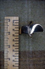 Load image into Gallery viewer, Roman Fly Shaped Brooch  from Orkney
