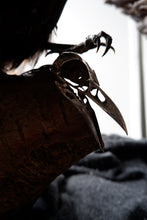 Load image into Gallery viewer, Heavy Sterling Silver or Bronze Crow Skull. Cast from a Real Skull!
