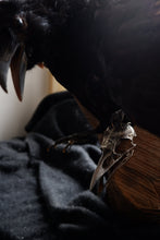 Load image into Gallery viewer, Heavy Sterling Silver or Bronze Crow Skull. Cast from a Real Skull!