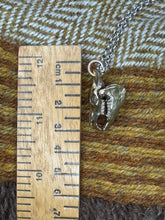 Load image into Gallery viewer, Mari Lwyd Horse skull Pendant