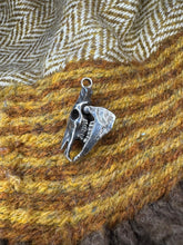 Load image into Gallery viewer, Mari Lwyd Horse skull Pendant
