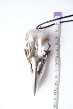 Load image into Gallery viewer, Heavy Sterling Silver or Bronze Crow Skull. Cast from a Real Skull!